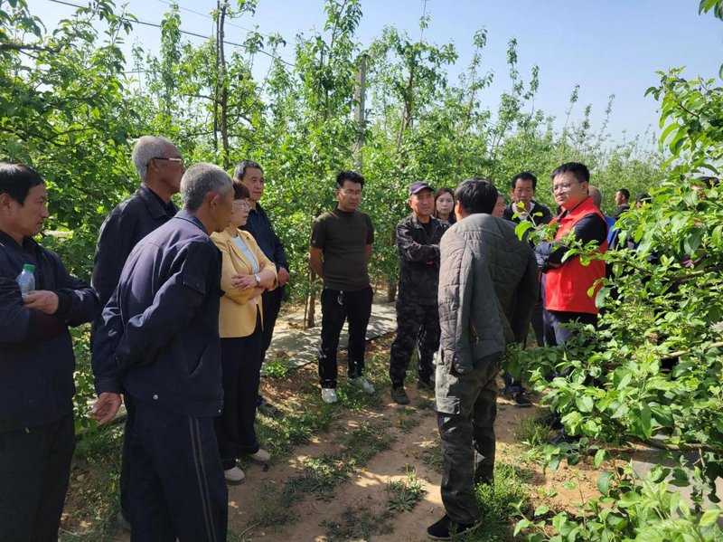 东营农业开发：耕种未来的土壤