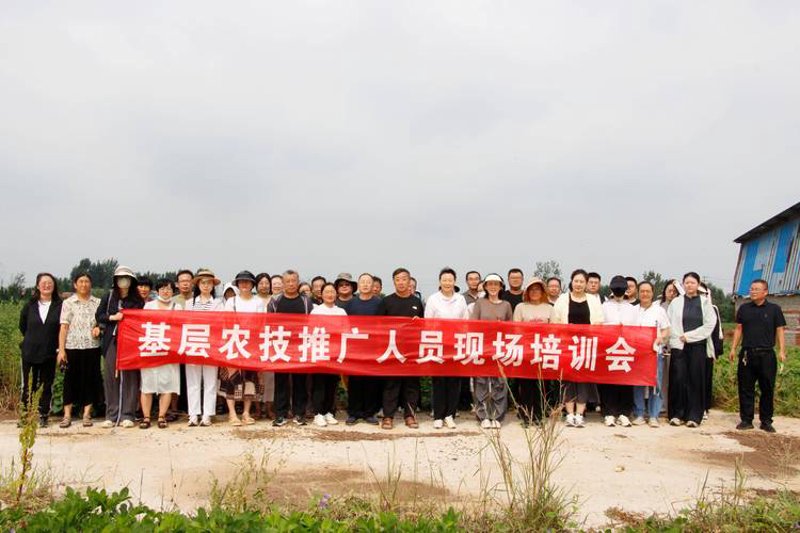 水果采摘：亲近自然的乐趣