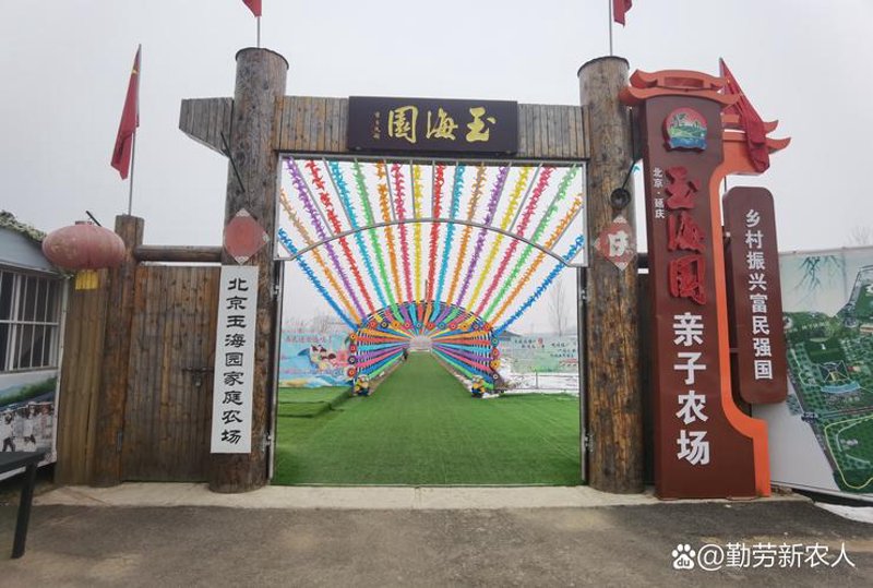 现代农业中的金钥匙：农产品种植的最新趋势与挑战